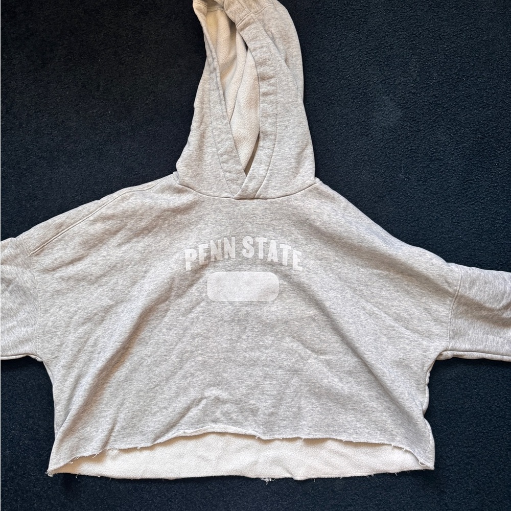 Penn state cropped hoodie